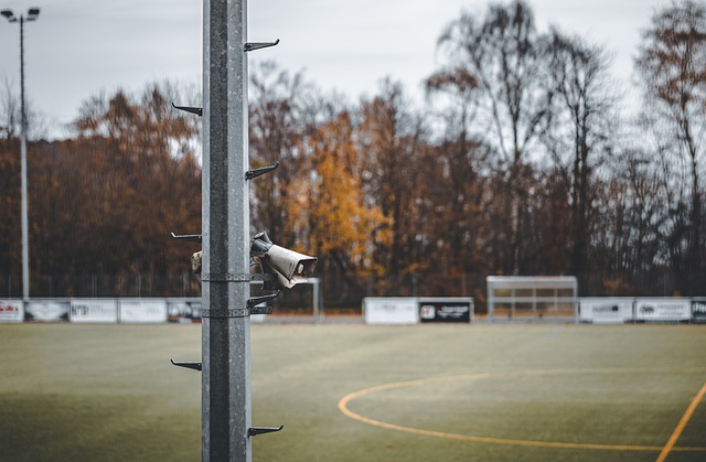 多伦多FC 多伦多FC