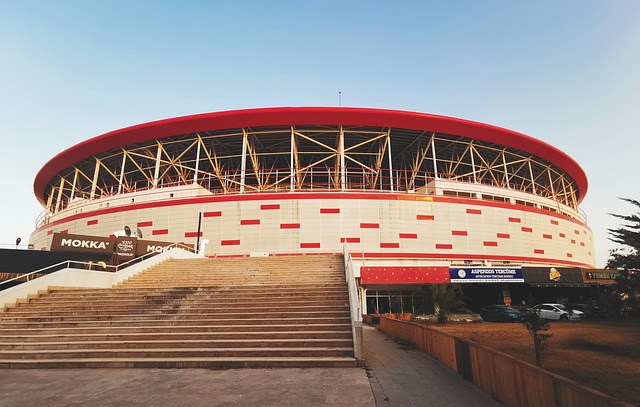 豪门挑战者 豪门挑战者