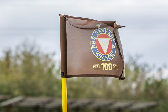 领球队夺得 领球队夺得