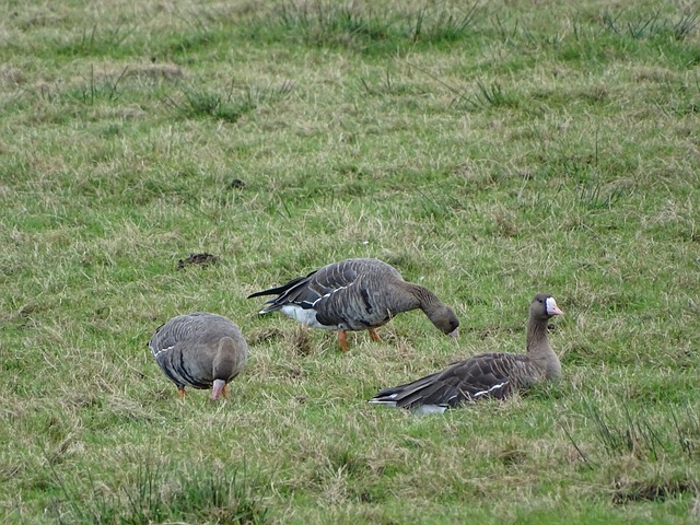 提供了宝贵 提供了宝贵