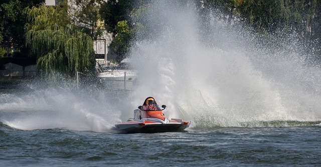 显然让他们 显然让他们