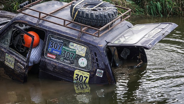 变冬季生活 变冬季生活